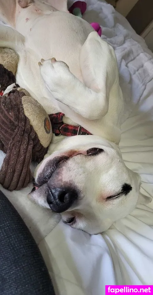 Ablondination, ablondinationvip Leaked Nude Picture #In9CnGUcRp