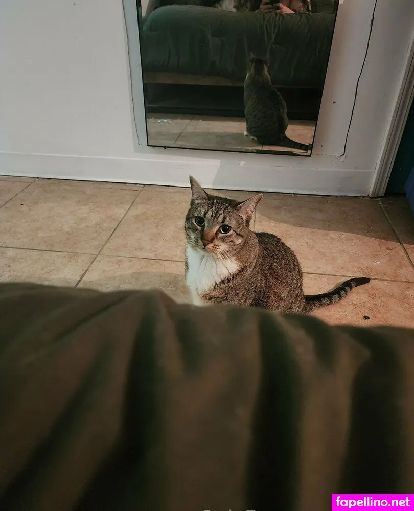 Adri, Adriivygaming, adrian_petricevic, adriivy Leaked Nude Picture #5st2eYH2po