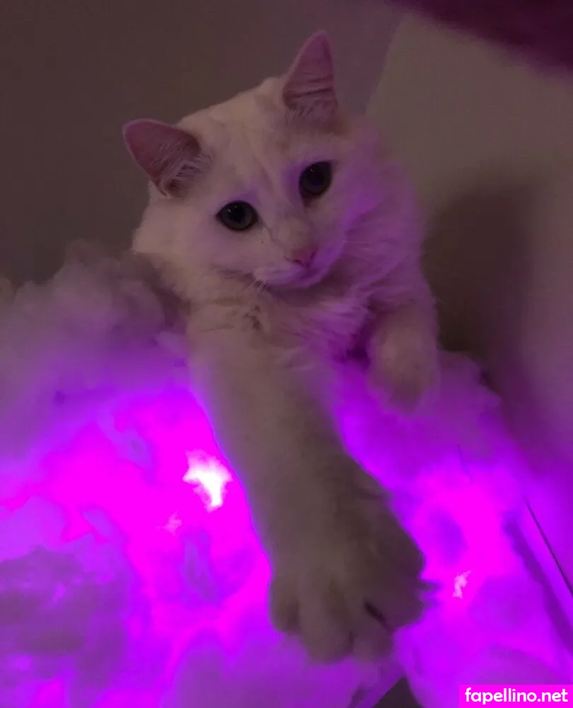 Aliceinnude, alicenude92 Leaked Nude Picture #6wICXuxvxz