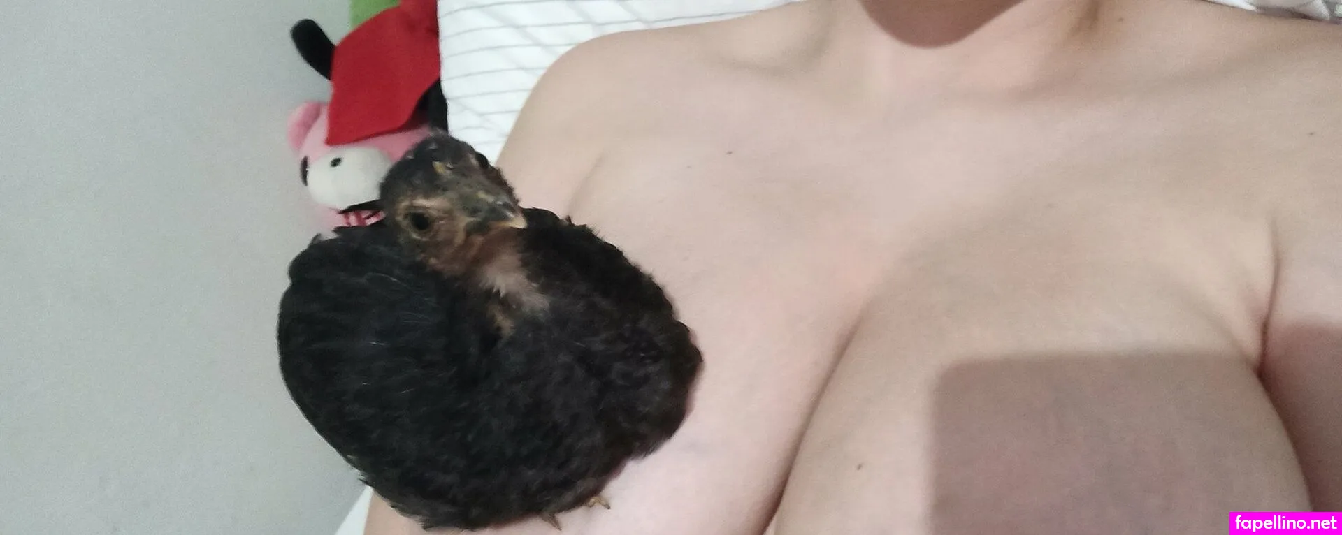 Alinorac, alinorac_chan, anyuser Leaked Nude Picture #F1B6YuKqlW