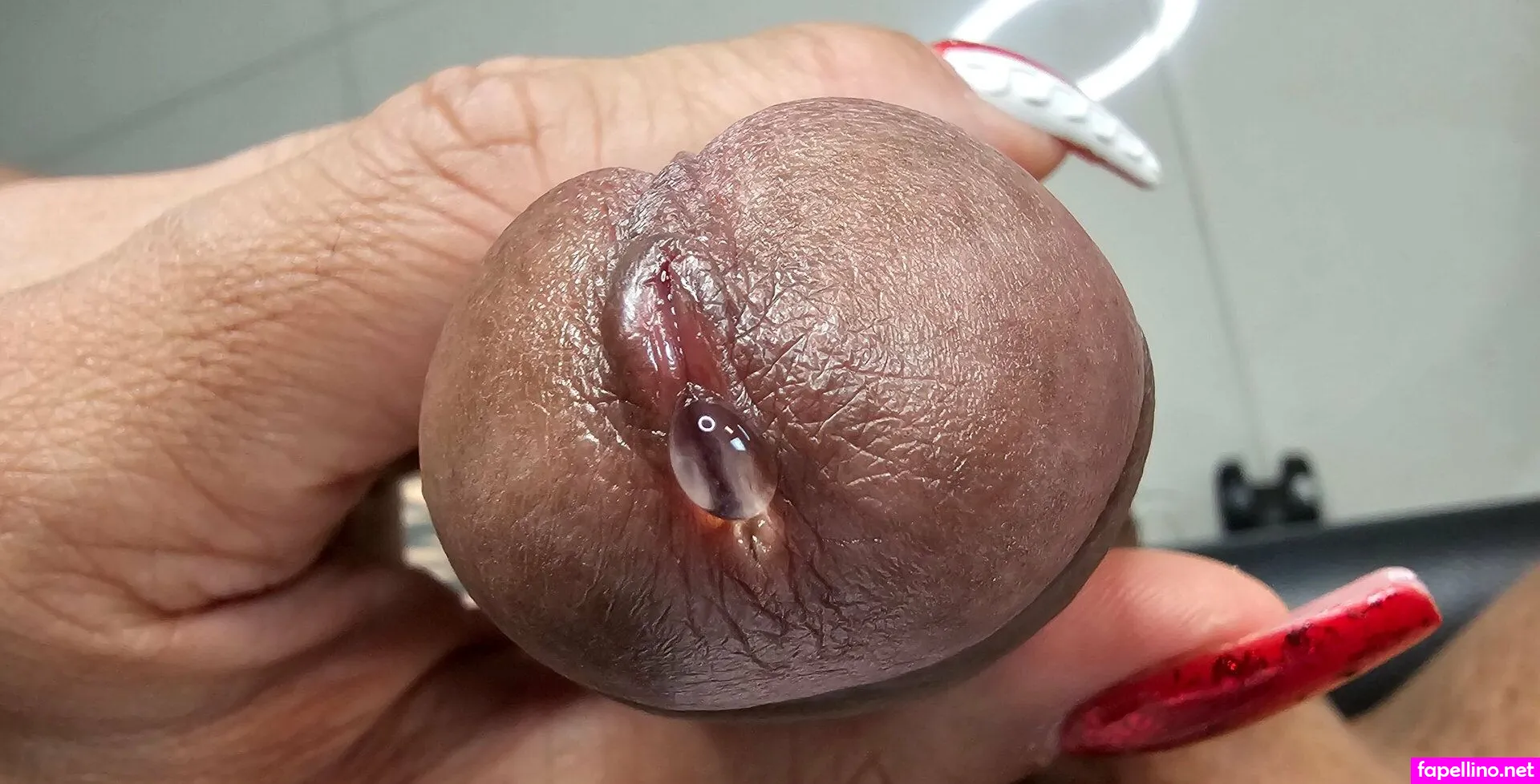 Aranxasmith Leaked Nude Picture #HIHyTFocef