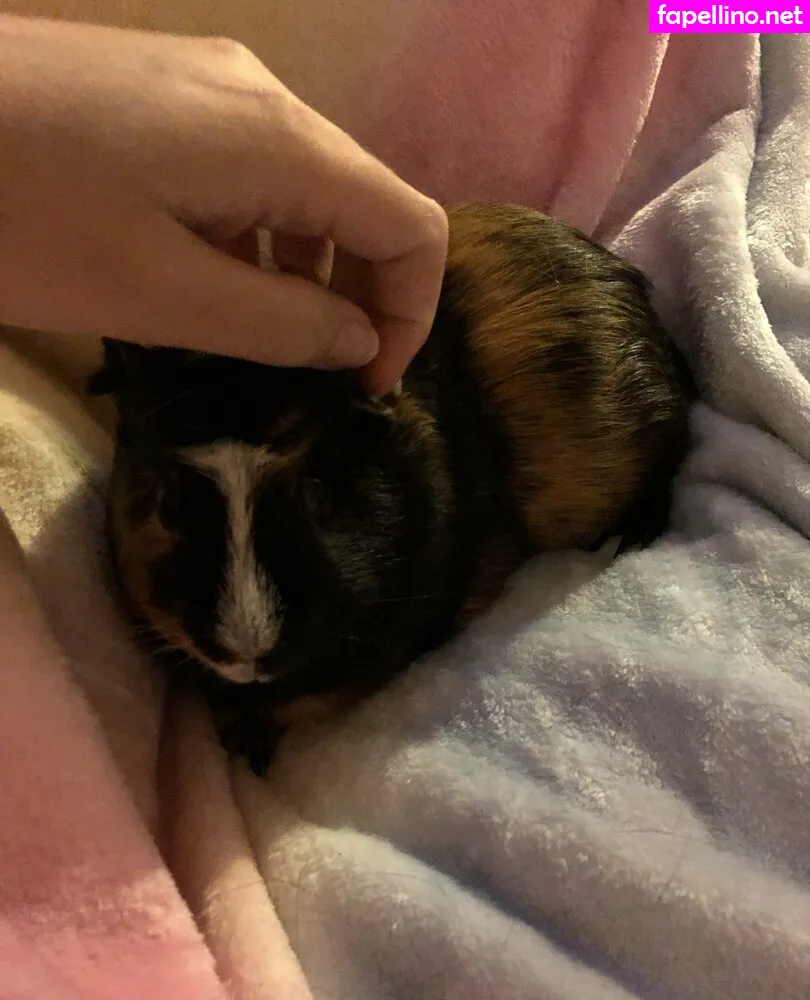 Aussarah1, aussiesarah Leaked Nude Picture #01KCQ395WY