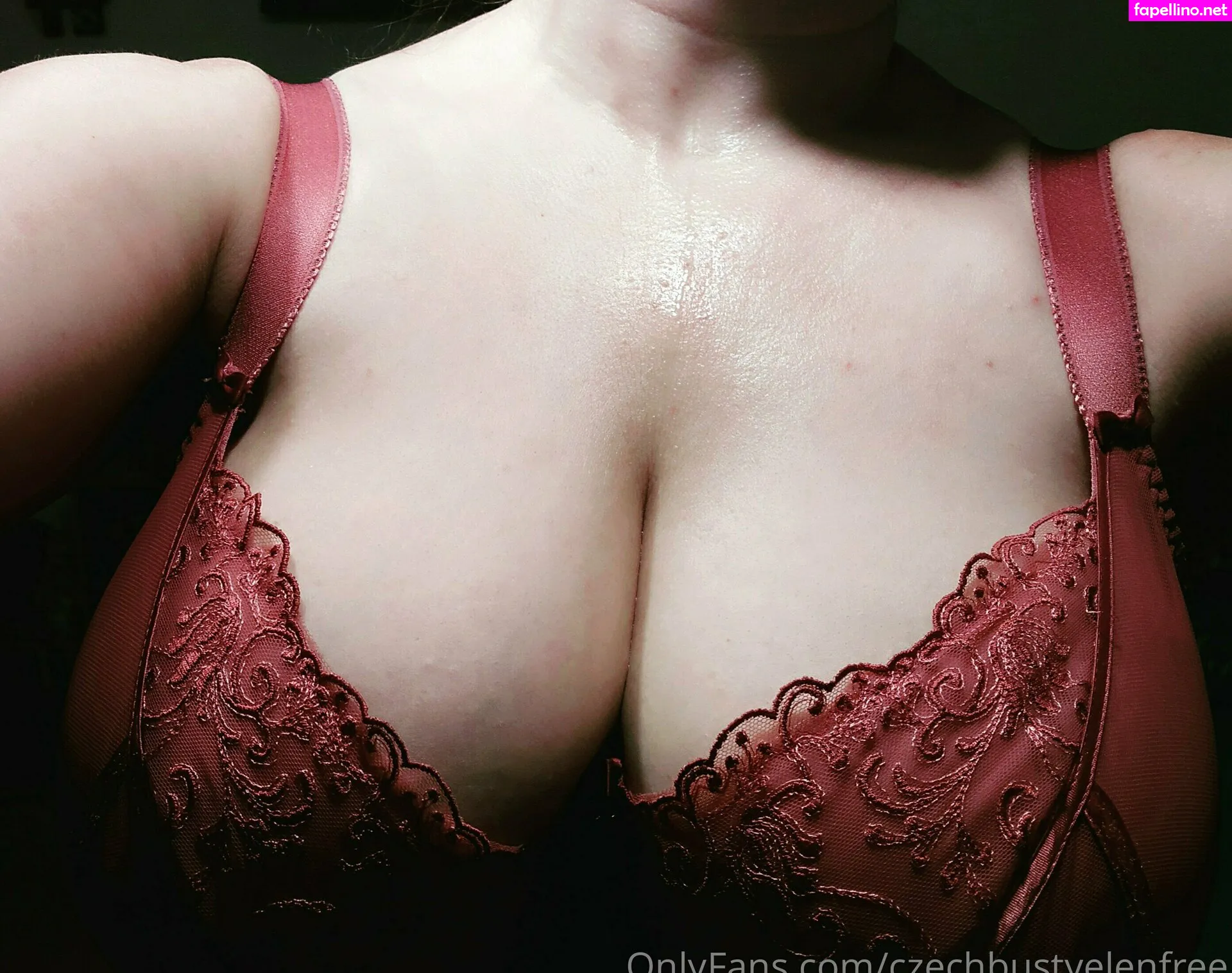 Bustyelenfree, liz_05_dixson Leaked Nude Picture #0M16Gm8Wp7