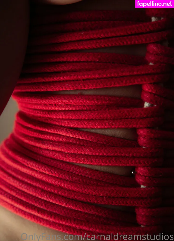 Carnaldreamstudios, viciousjules Leaked Nude Picture #Ps8PdjMDMK