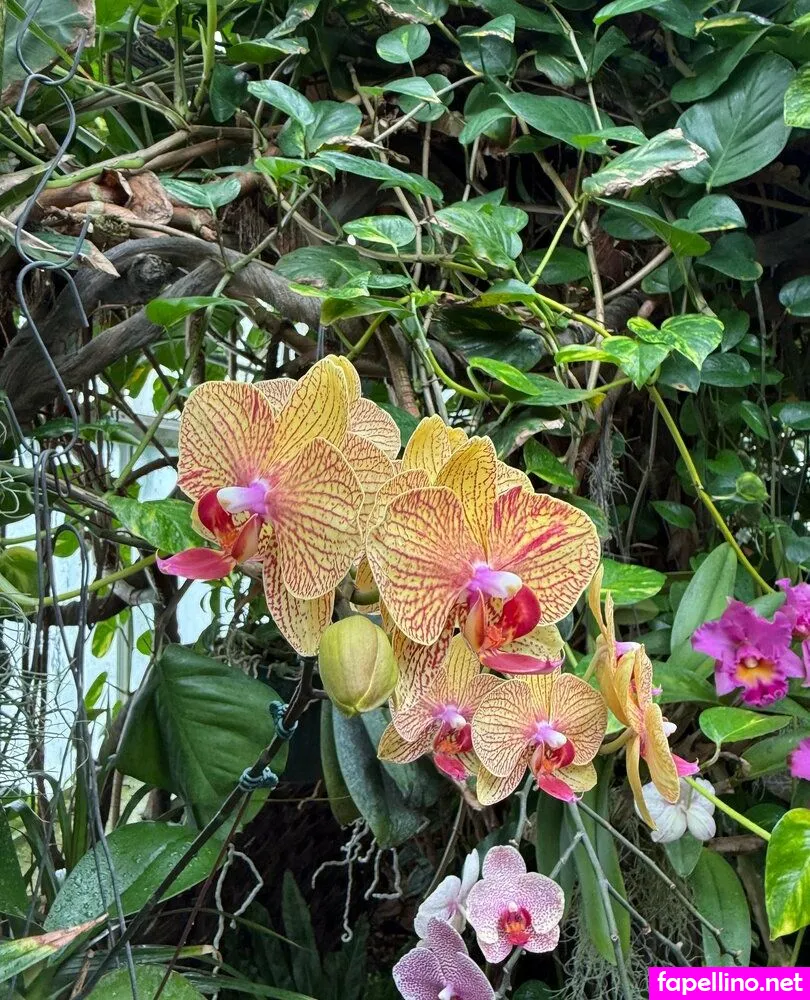 Carriemadsin, carriemadsinfree Leaked Nude Picture #AbVXvWD9Xc