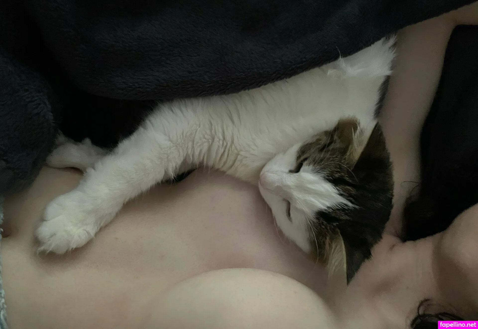 Catsidhe, catsidhexo Leaked Nude Picture #MicL9jvUyi