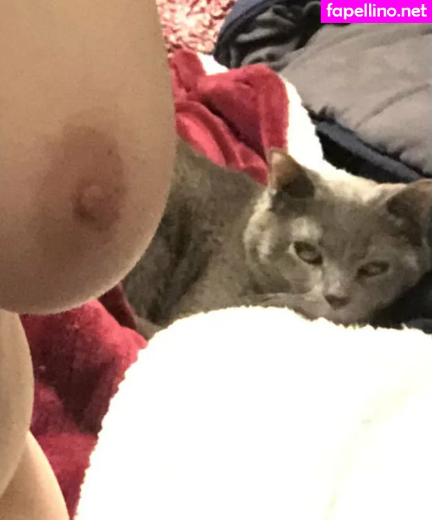 Couldshouldwood, pimpdaddyrin Leaked Nude Picture #pPFlvemR7c
