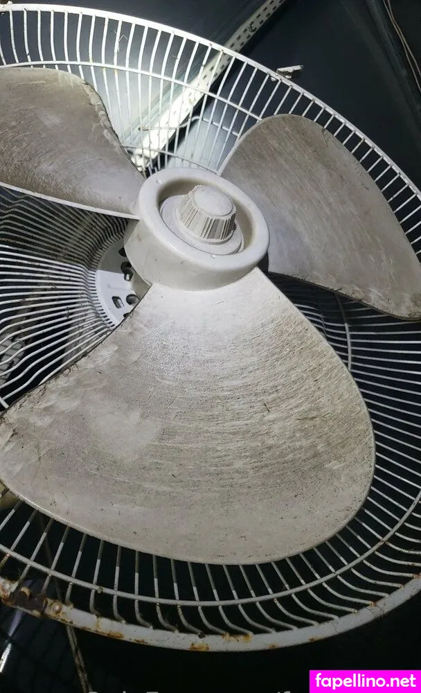Fans4daze, flowz4daze Leaked Nude Picture #FL8w8fZOCI