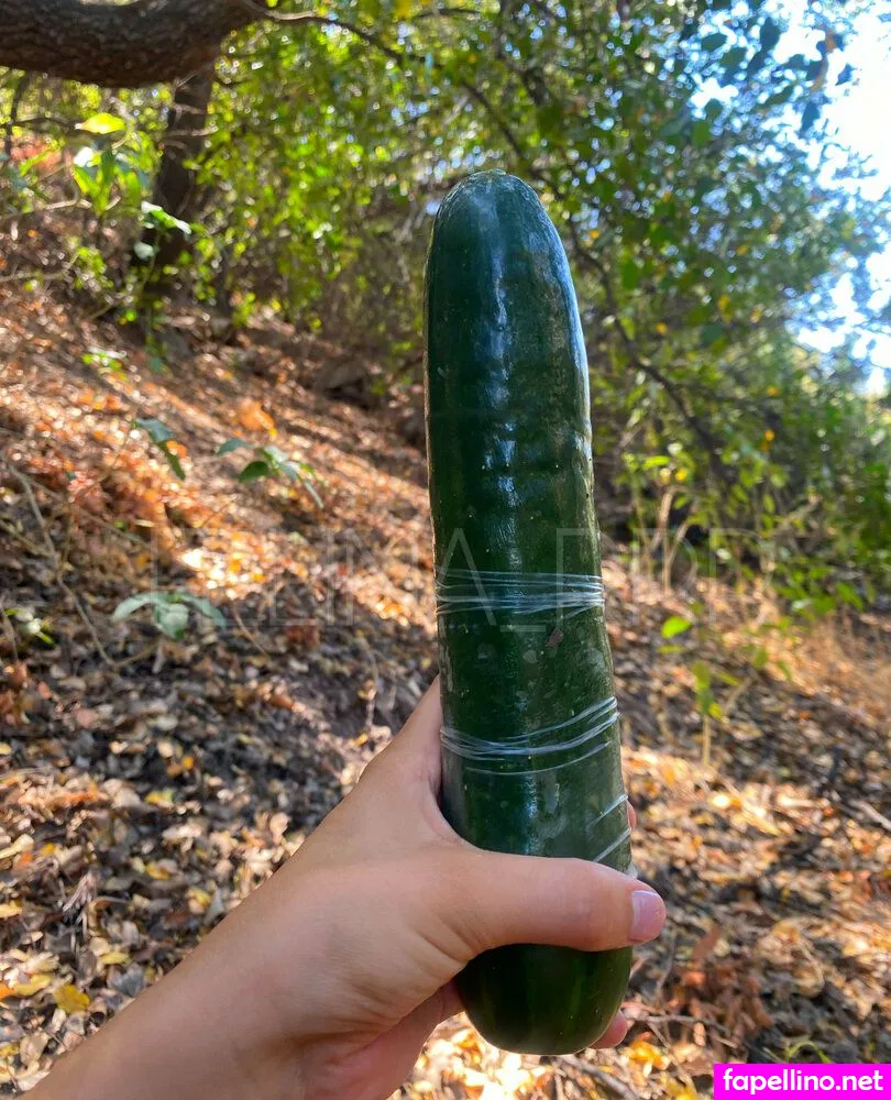 Felina_rrr Leaked Nude Picture #5FIJsSlFqq