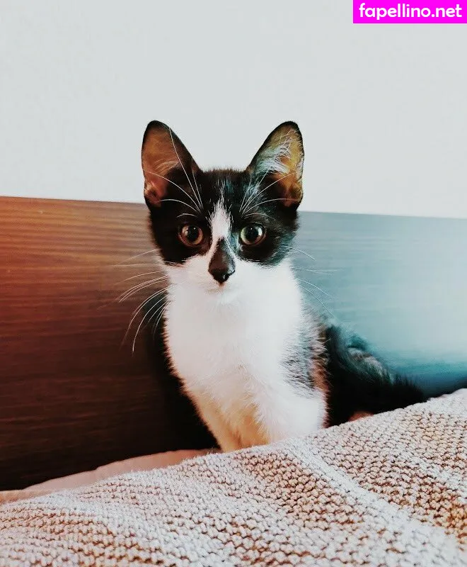 Fosterkittendad Leaked Nude Picture #1kH3zzUKIZ