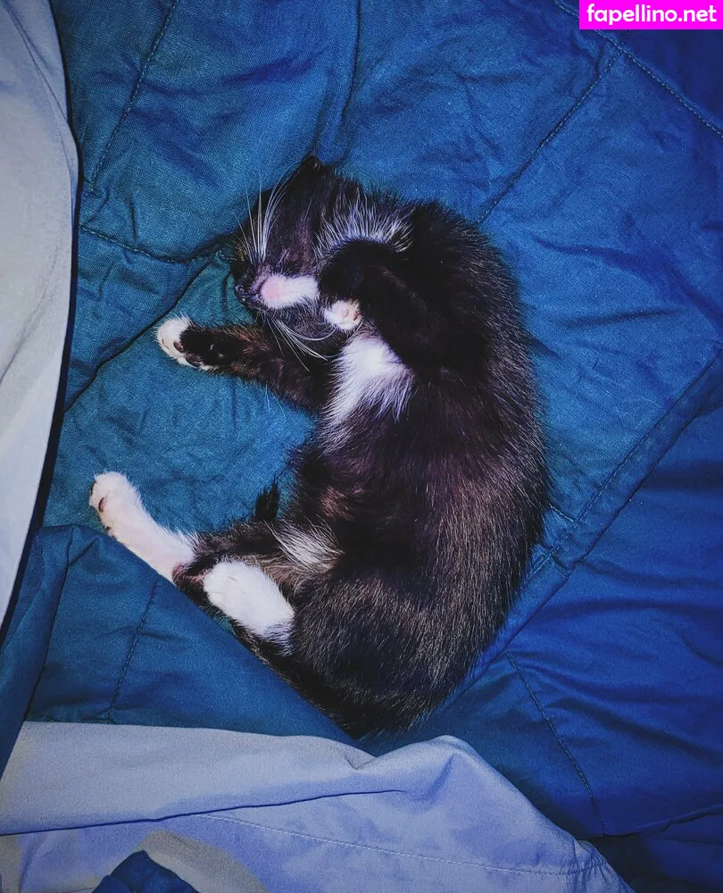 Fosterkittendad Leaked Nude Picture #JakEV4PuO6