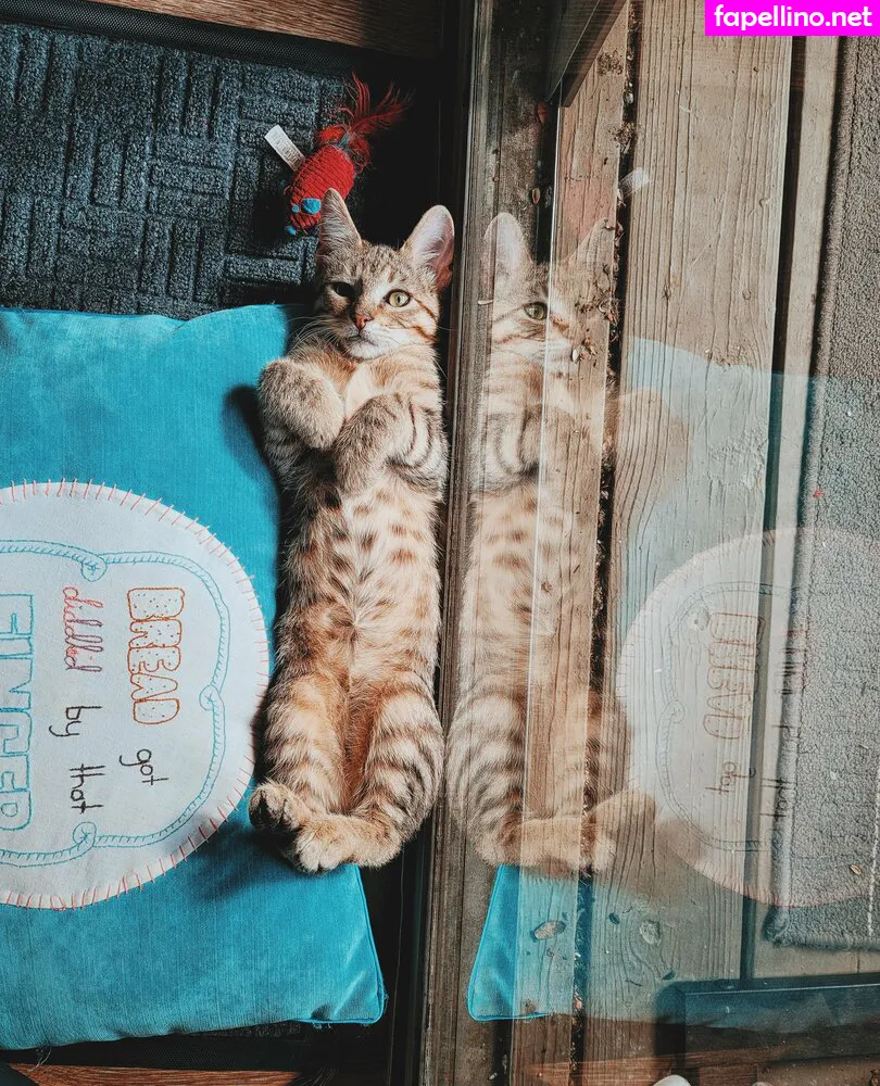 Fosterkittendad Leaked Nude Picture #LiFT6koC8j
