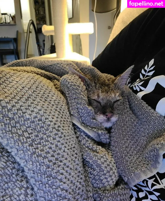 Fosterkittendad Leaked Nude Picture #NgNUVzowNF