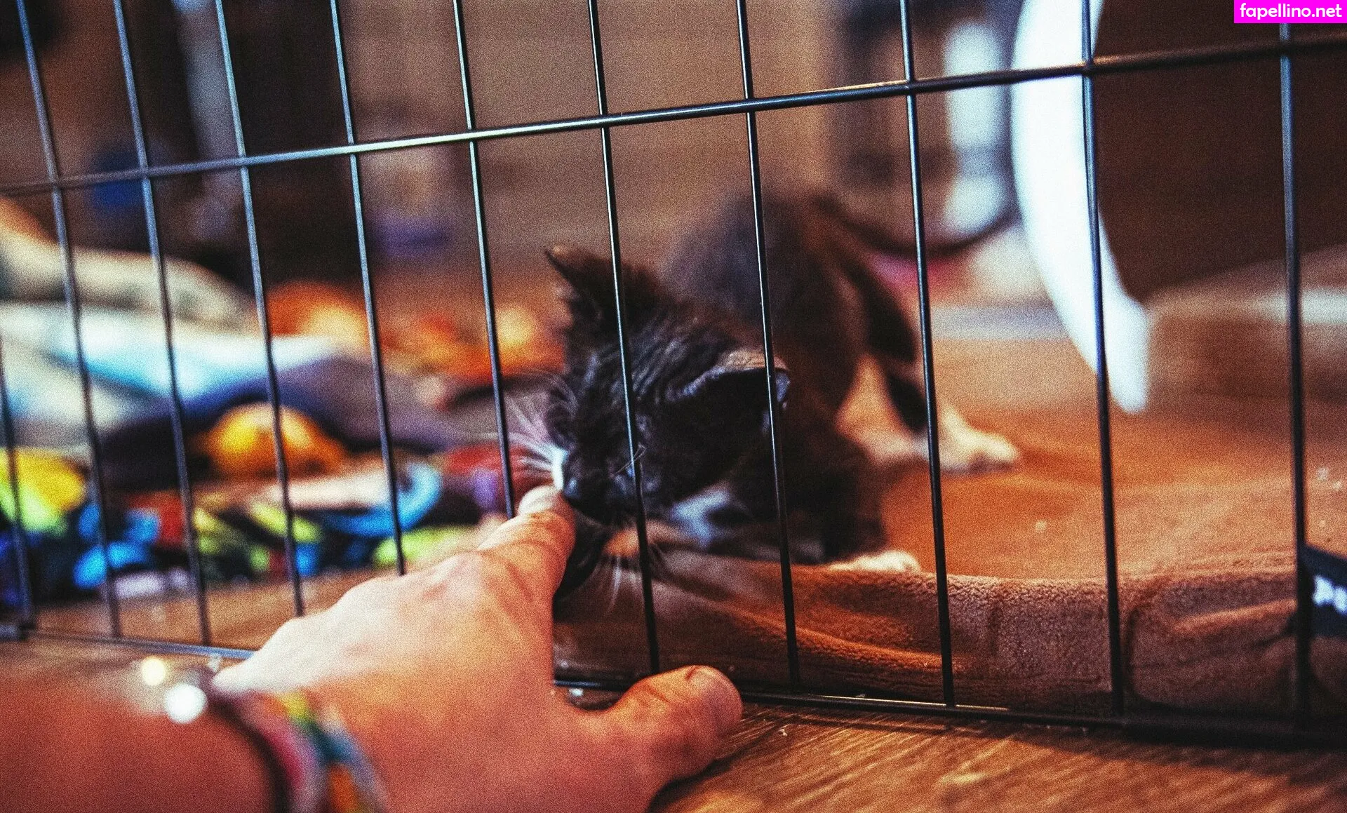 Fosterkittendad Leaked Nude Picture #RAUQOYCZKV