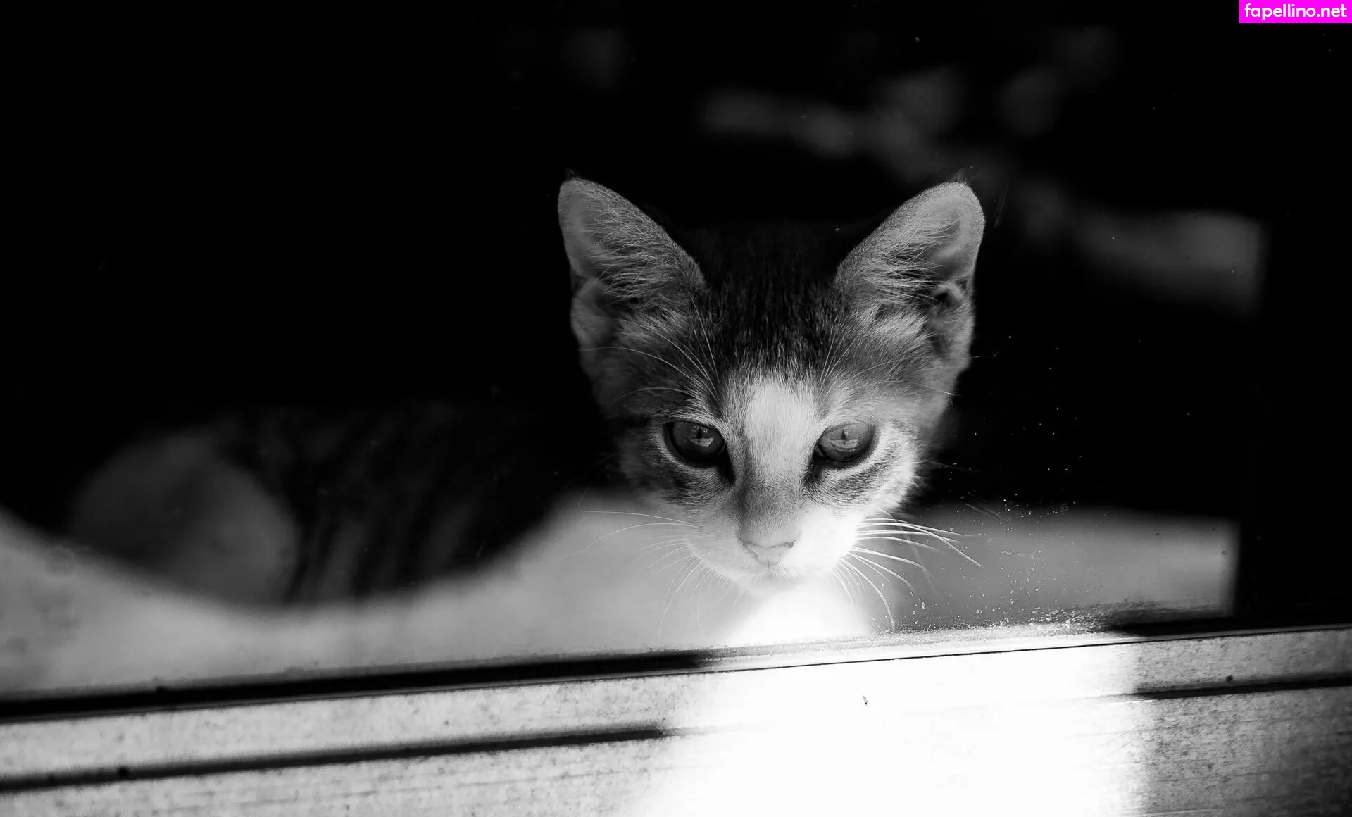 Fosterkittendad Leaked Nude Picture #oaKMwcV9YK