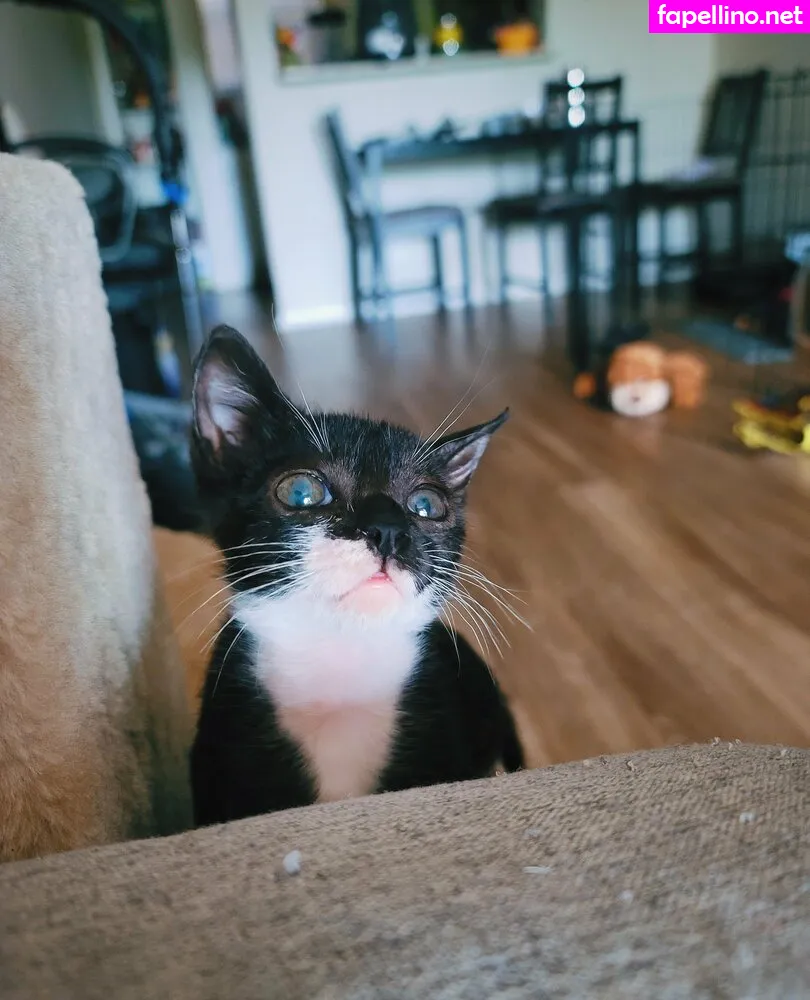 Fosterkittendad Leaked Nude Picture #sh6M8AUfPB