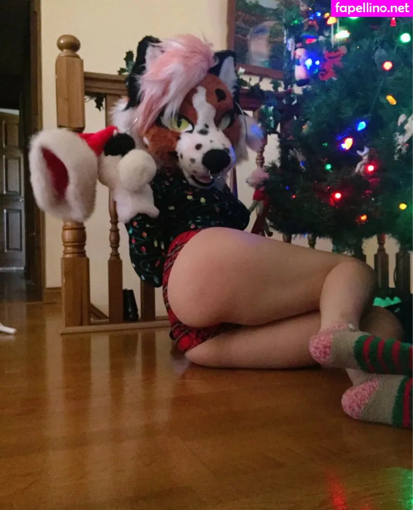 Fox_anatomy Leaked Nude Picture #5ZySXz7d9N