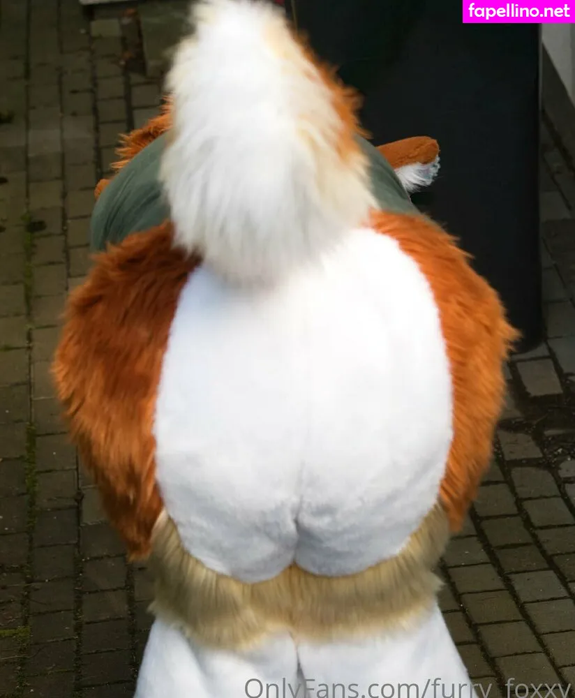 Fluffy_axofox, furry_foxxy Leaked Nude Picture #Qt4ErD3gST
