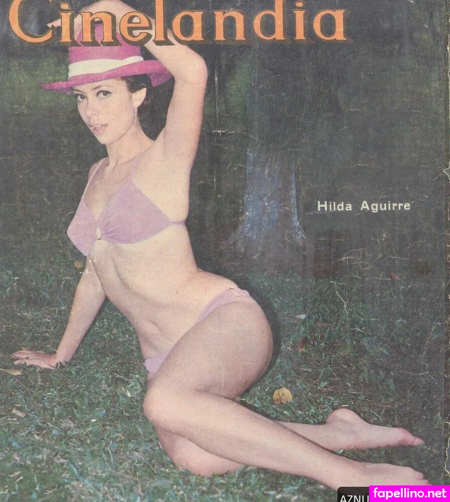 Hilda Aguirre Leaked Nude Picture #EBawWprX8g
