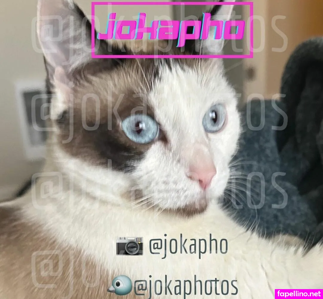 Jokapho, jokaphotos Leaked Nude Picture #QkbsmuffbS