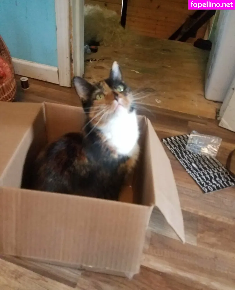 Katcalico Leaked Nude Picture #AsdOG0qHSQ