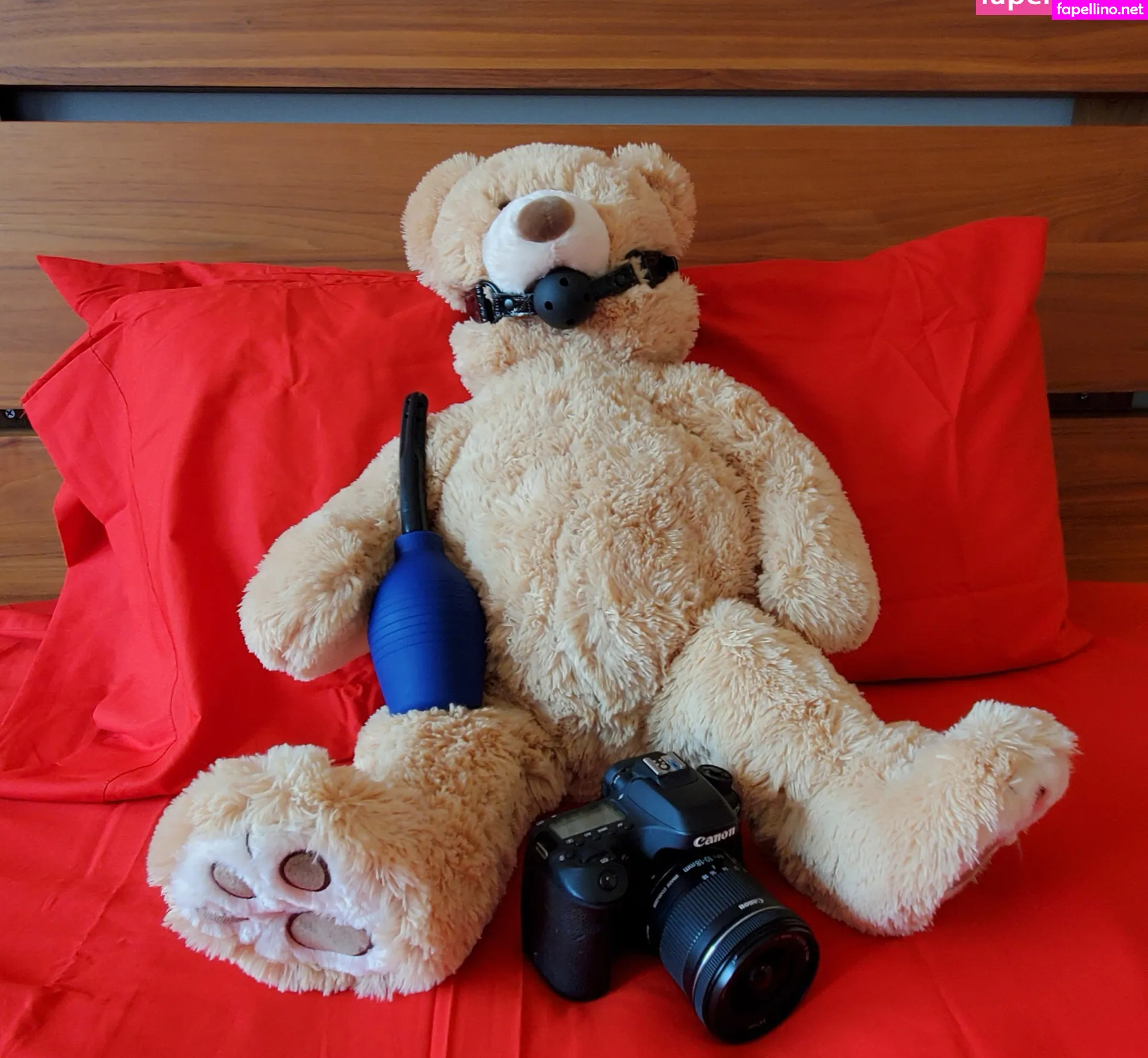 Coyotelovesyou, kissasins Leaked Nude Picture #ClB10AAvKz