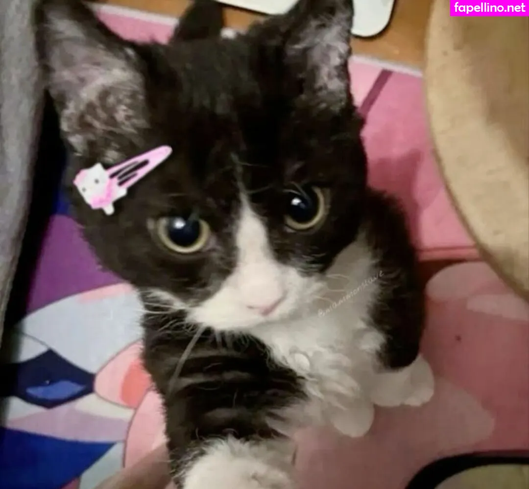 Kittncore, kteencore Leaked Nude Picture #l1l80w6pnQ