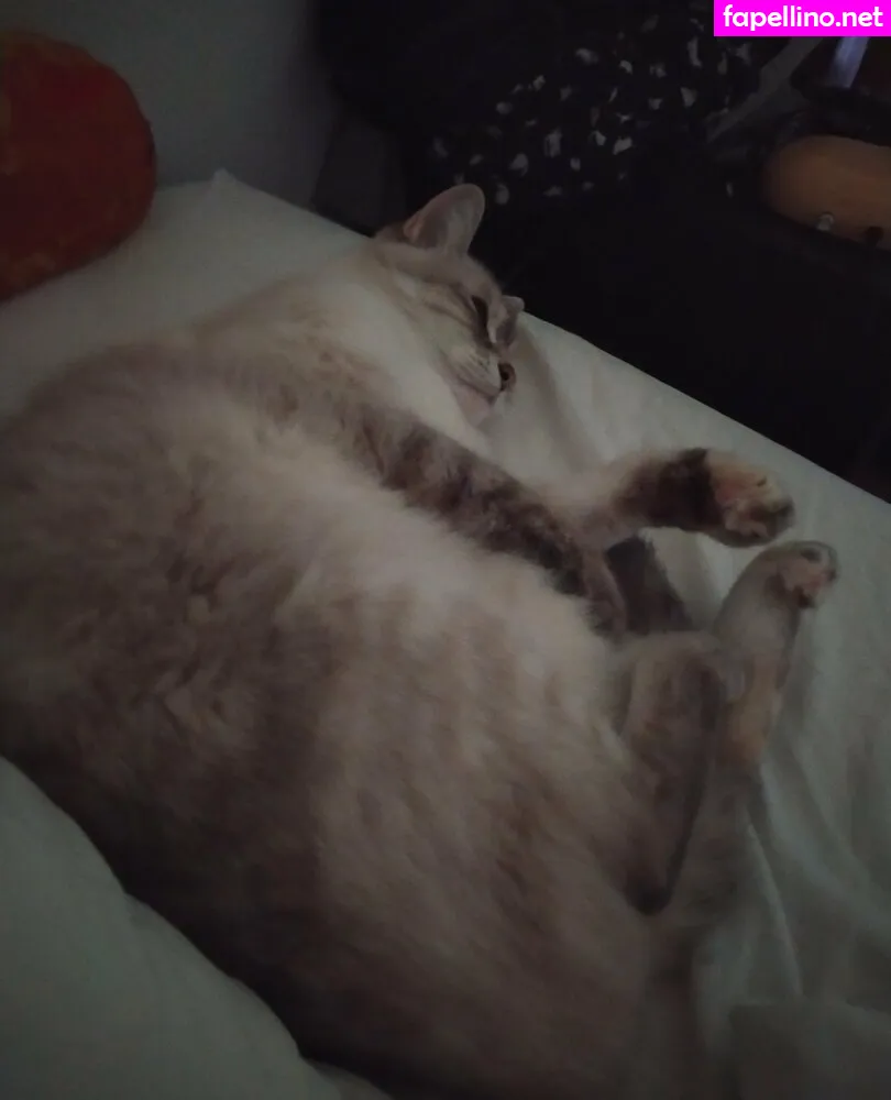 Kitty.kathee, kittykathee Leaked Nude Picture #CnUDDGJ8DE