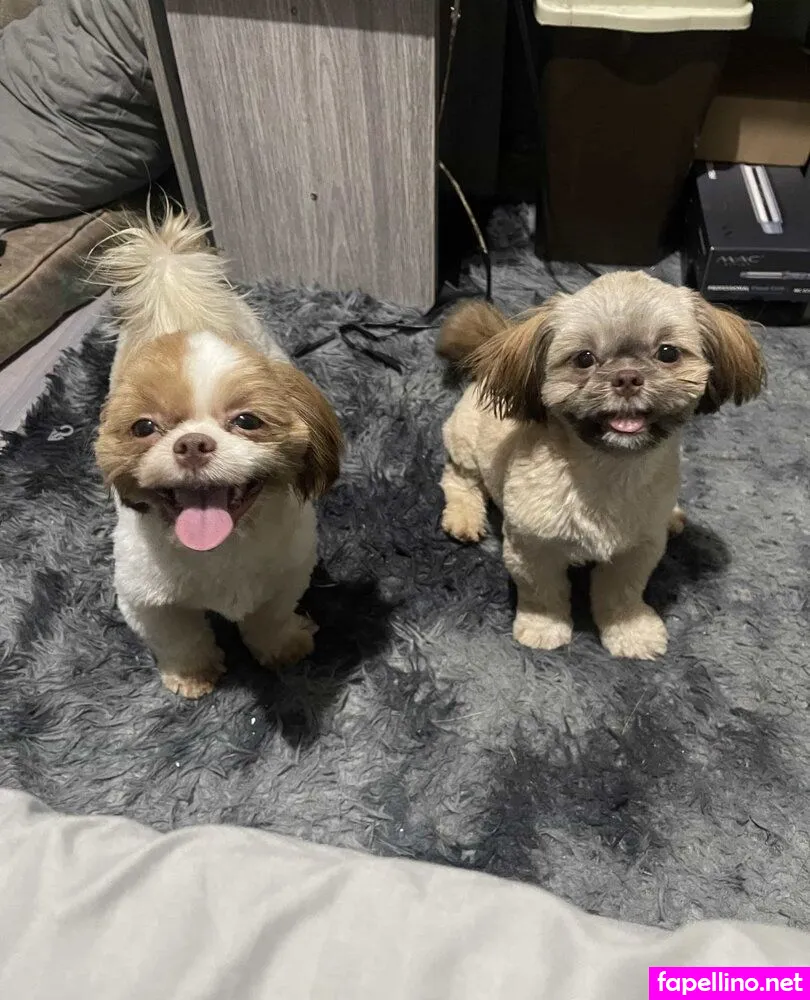 Https:, kyla_yungcb, kylayung9 Leaked Nude Picture #yEA7vuKDig