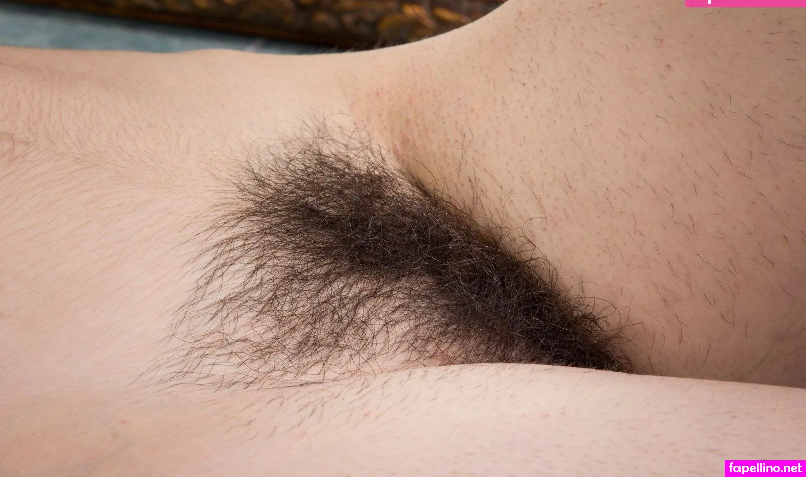 Kyotocatnip, xokyoto Leaked Nude Picture #lwj935q8wW