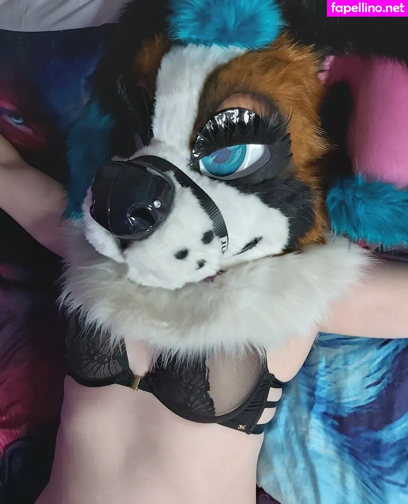 Lexi__puppy, lexipuppy Leaked Nude Picture #c9P4iPxXeh