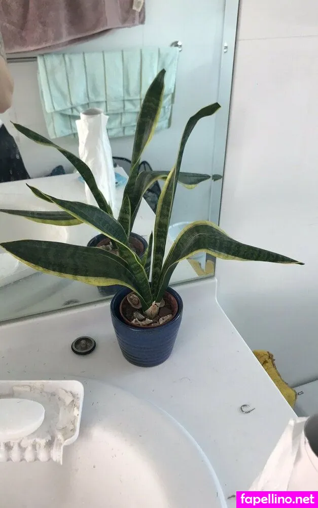 Lilyofthevalleyyyy Leaked Nude Picture #eHdJr4YCw3