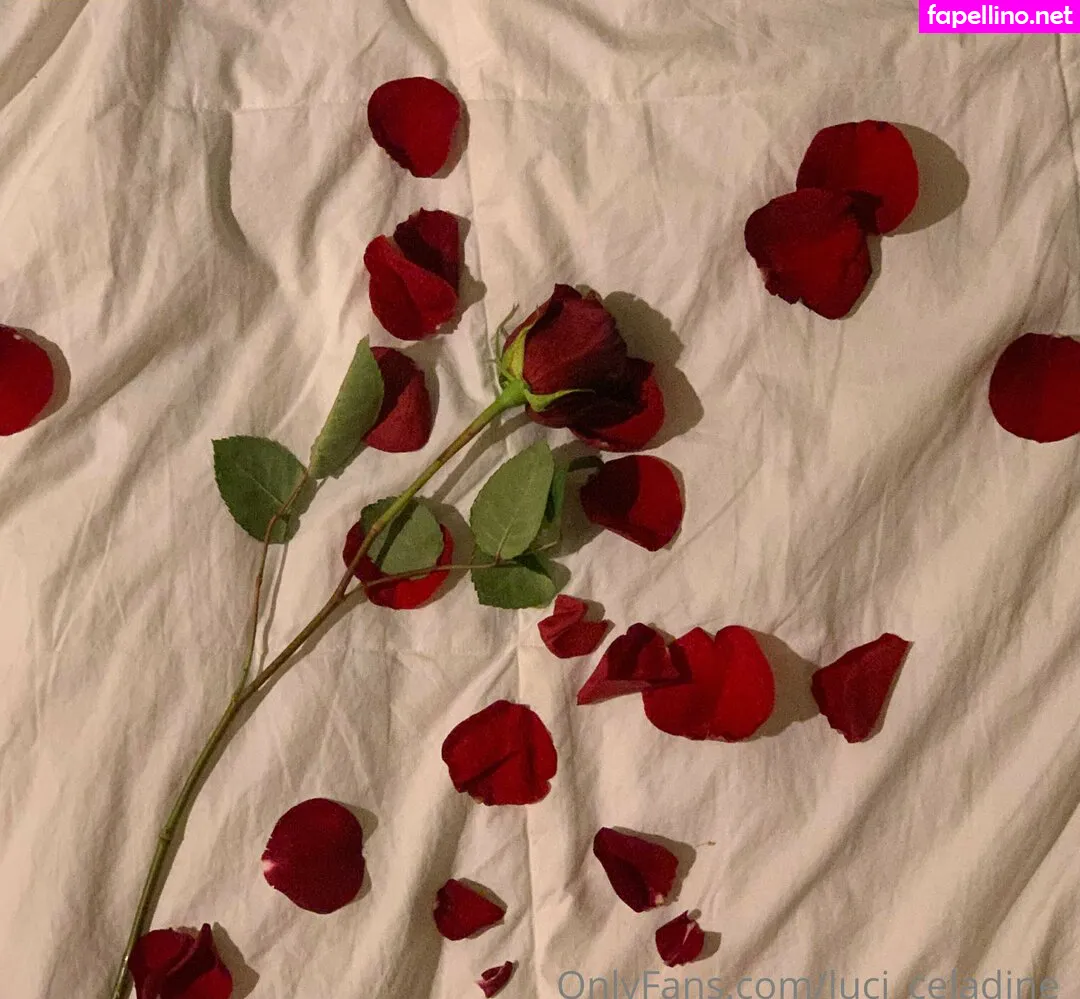 _luciousliz_, luci_celadine_ Leaked Nude Picture #Hrsyc3Go10