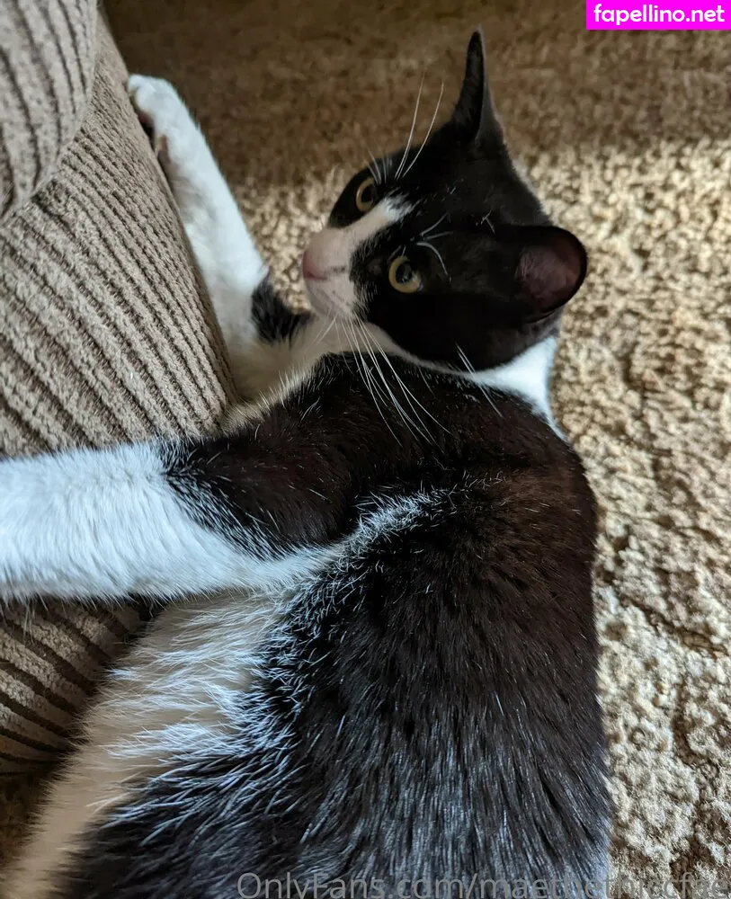 Ktmaesec, maethethiccfae Leaked Nude Picture #II34e9YBFI