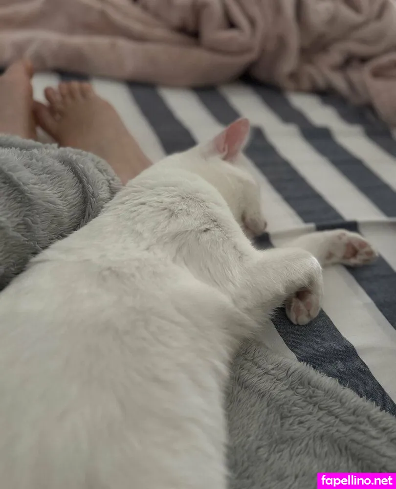 Mariimisu, mariimisu_ Leaked Nude Picture #ZDSYVbLOVa