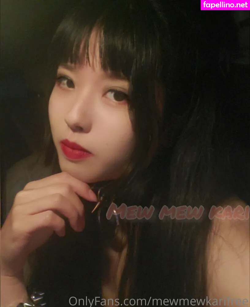 __ffrenchfries__, mewmewkarifree Leaked Nude Picture #Ps7IChYIyP