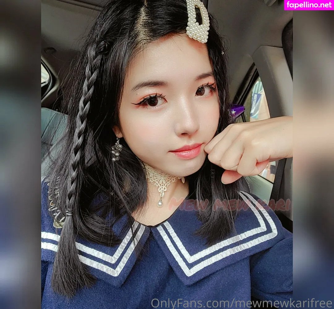 __ffrenchfries__, mewmewkarifree Leaked Nude Picture #jFmTOkQLfe