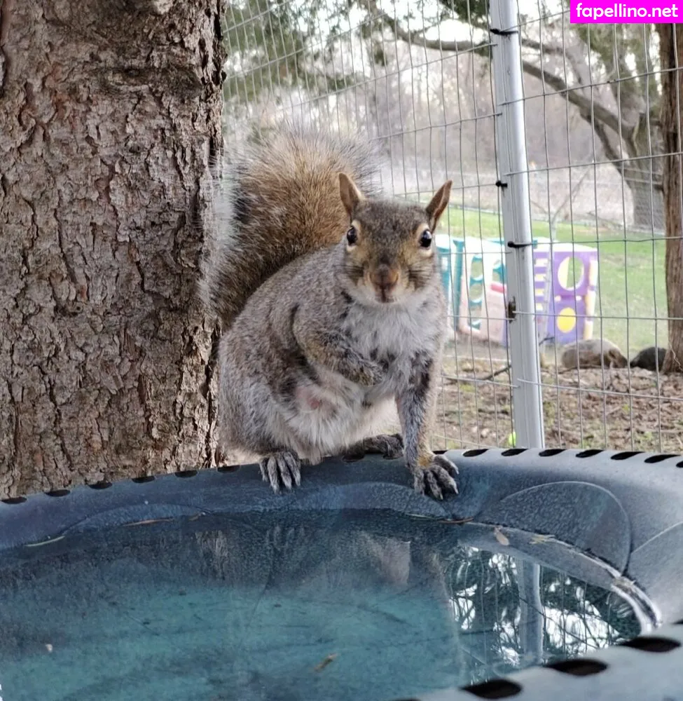Mikaylarainesfans, saveafox_rescue Leaked Nude Picture #daE4jTfLlw