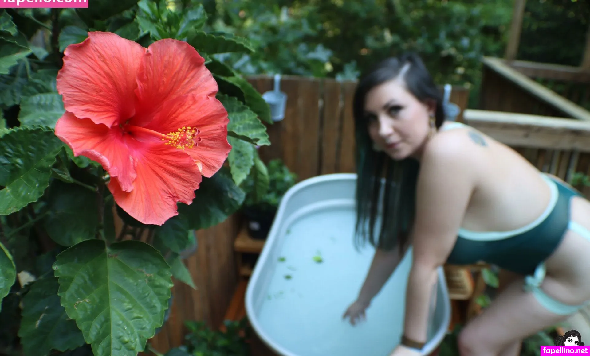 MimiFlowersss, Suicidegirls, mimi_flowers_premium, mimiflowers_official Leaked Nude Picture #oYIupBe3Cr