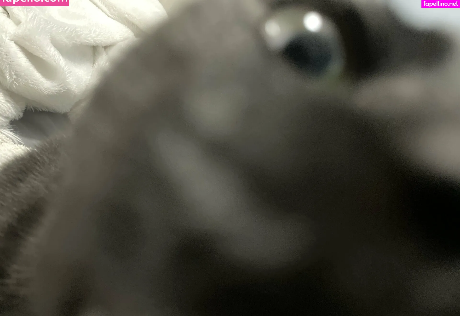 Lewdgamermel, mommymelz Leaked Nude Picture #kFiYiFzFDv