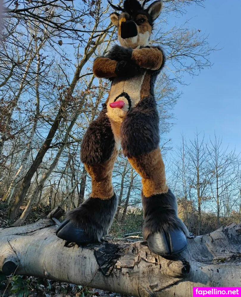 Orun_the_deer Leaked Nude Picture #XeDIyD4ngF