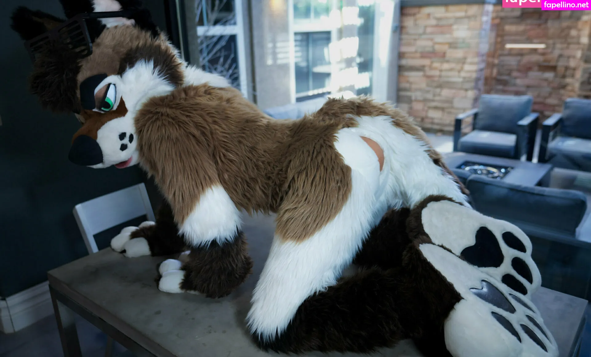 Palacewolf, palacewolfent Leaked Nude Picture #4rAuBnO2Ay