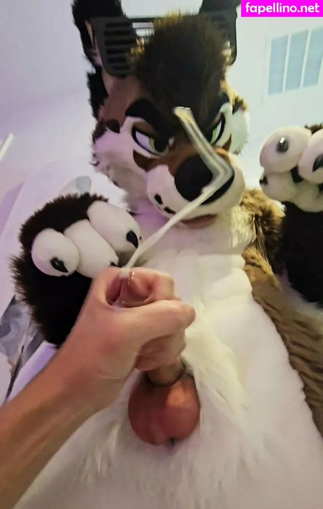 Palacewolf, palacewolfent Leaked Nude Picture #fo1tT7MBsT