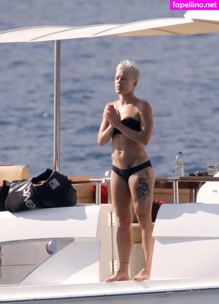 Alecia Beth Moore, Pink, pinksuicide Leaked Nude Picture #1MA2M81HYd