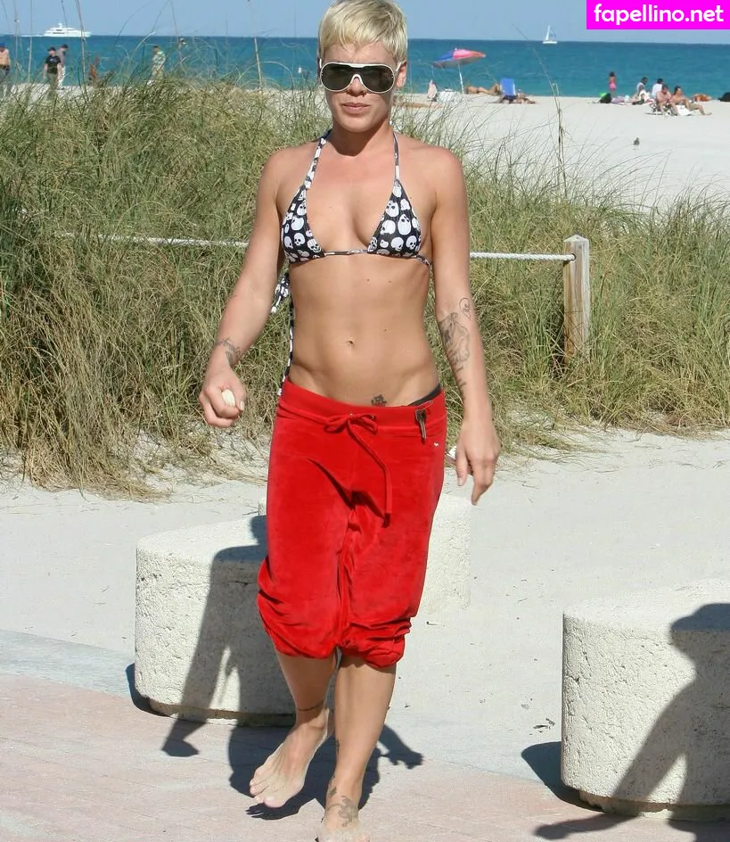 Alecia Beth Moore, Pink, pinksuicide Leaked Nude Picture #4YwyPINVCz