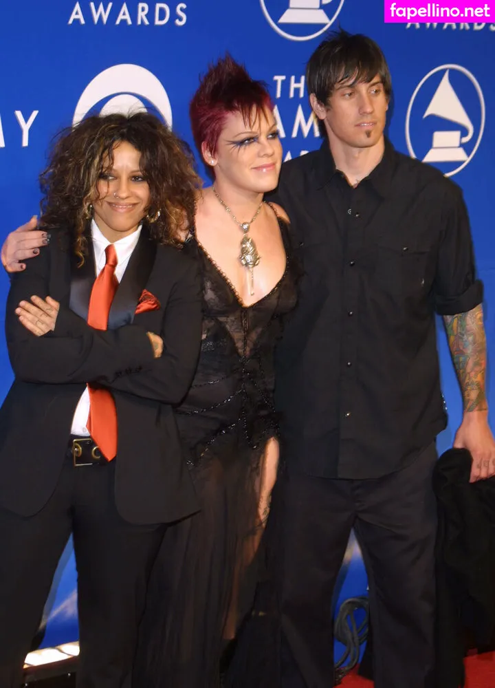 Alecia Beth Moore, Pink, pinksuicide Leaked Nude Picture #6evjZJXIeo