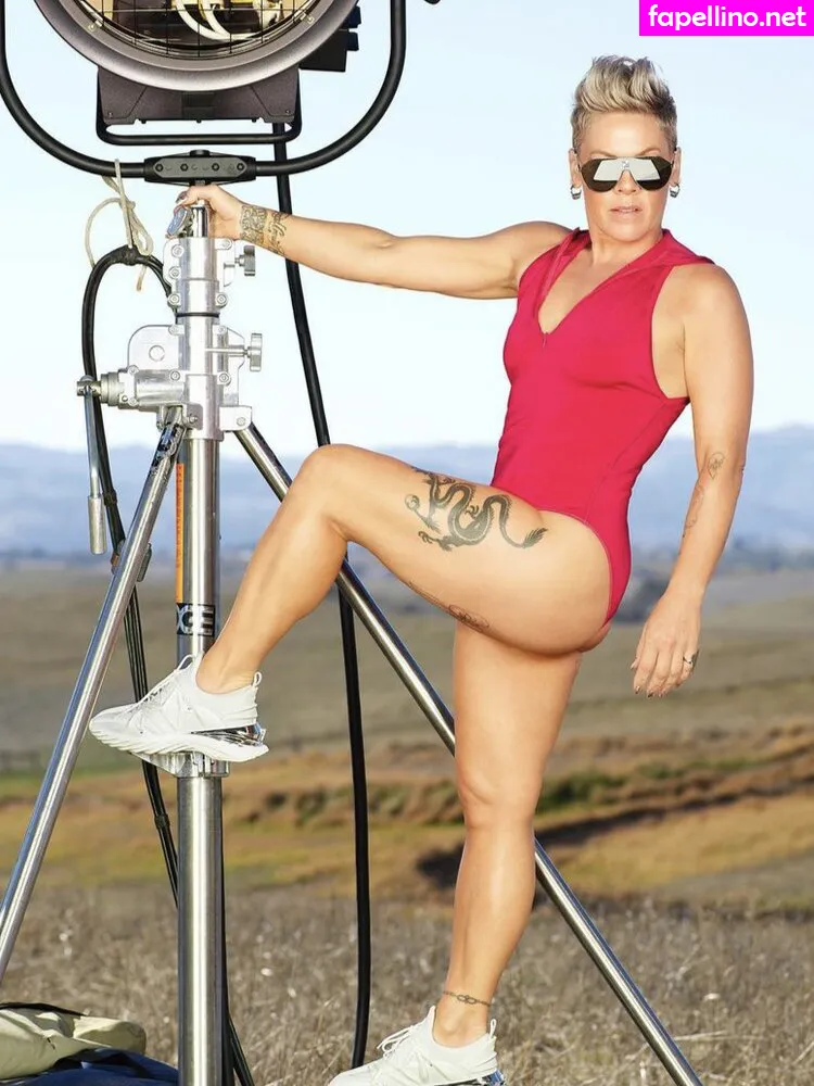 Alecia Beth Moore, Pink, pinksuicide Leaked Nude Picture #HT4MiCOyJU