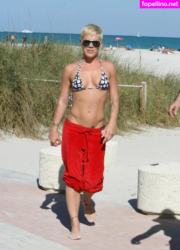 Alecia Beth Moore, Pink, pinksuicide Leaked Nude Picture #ZEiPwS2lGM