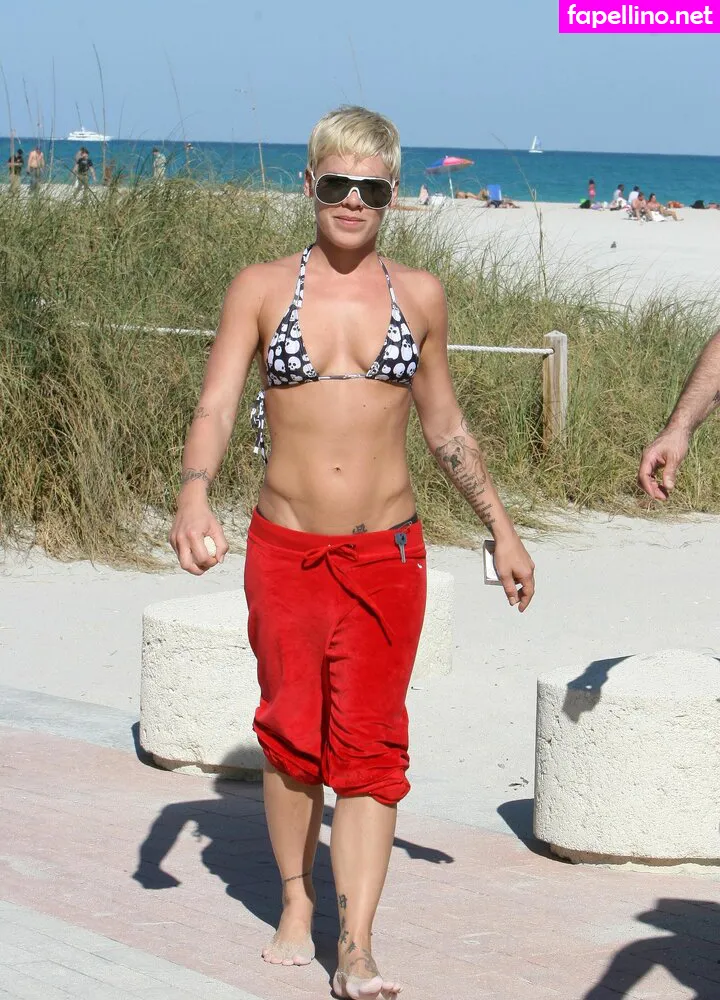 Alecia Beth Moore, Pink, pinksuicide Leaked Nude Picture #f3w9ksP9Gk