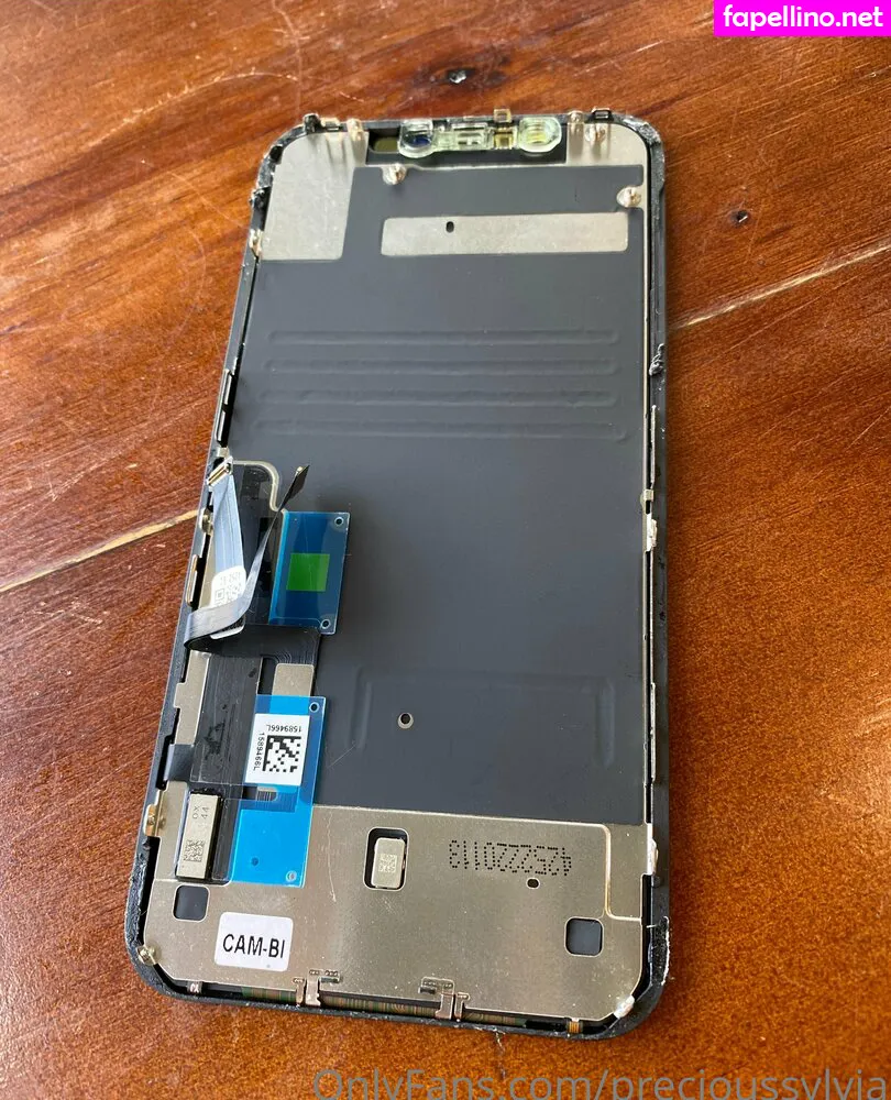 Precioussylvia, precioussylvia_ Leaked Nude Picture #s0zenRz1VP